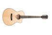 Dowina Sauvignon - Grand Auditiorium Cutaway & electronics