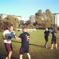IMG_1288 IMG_1288