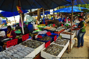 Delicious Seafood... Delicious Seafood...