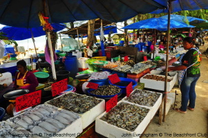 Delicious Seafood... Delicious Seafood...