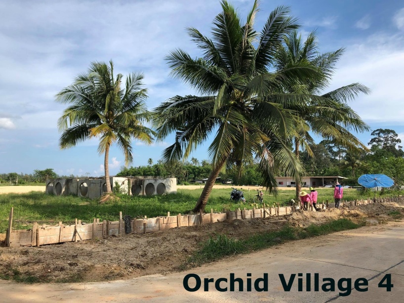From Orchid Village From Orchid Village