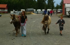 Wera, Diddi, Ludde och Roxette på promenad