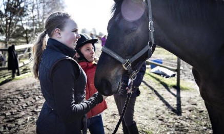 Tova Westerlund (t v) och Wilma Alverland myser med hästen Sune i lördagssolen. Bild: Lars Brundin