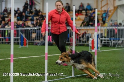Emelie och Nordic Paws Sprightly Laalaa aka Lallis. Emelie och Nordic Paws Sprightly Laalaa aka Lallis.