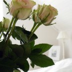 Rosor och romantik spa