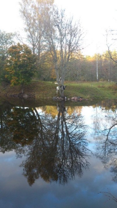 Oktober: Fotograferad av Anita Paues vid Väddö kanal