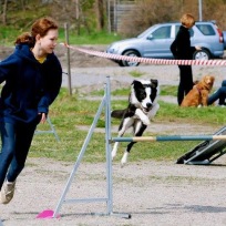 Agility fortsättning Haninge