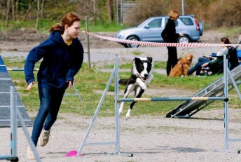 Agility fortsättning Haninge