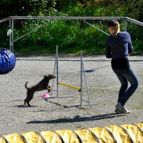 Agility fortsättning maj 1