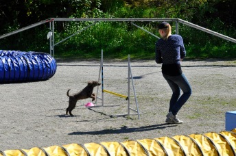 Agility fortsättning maj 1