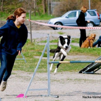 Agility fortsättning sön