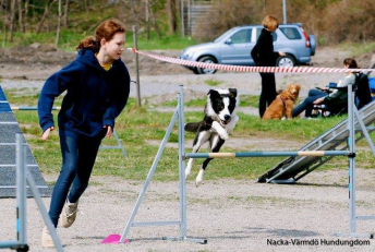 Agility fortsättning sön