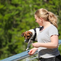 Agility nybörjare lör Älta D