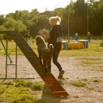 Agility nybörjare ons 2