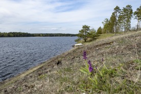 Vy från Ryr naturreservat