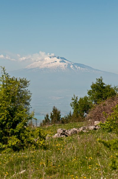 Miljö för O. subfusca subsp. archimedea med Etna i bakgrunden.