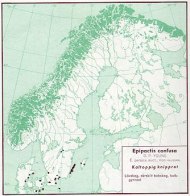 Karta från "Den virtuella floran". Kartan visar kal knipprot utan hänsyn till underarter.