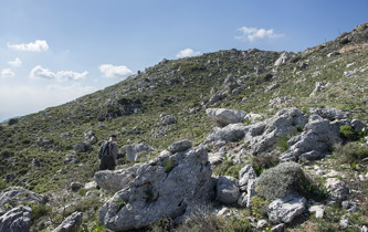 Stony but orchid rich terrain on Crete's south side