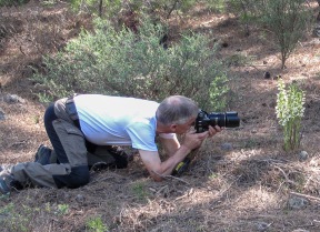 Photographing Chepalanthera epipactoides at Lesvos