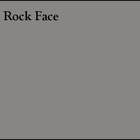 Rock face