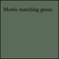 Morris matching green