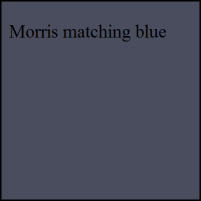 Morris matching blue