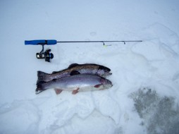 130126 Tollerup isfiske