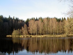 Premiär i Tollerup 2012-03-31