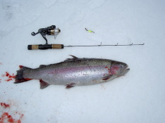 Isfiske i Tollerup 090106