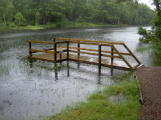 070606 Regn regn regn