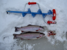 060129 Isfiske i Tollerup