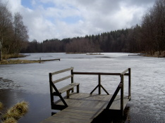 060409 Arbetsdag i Tollerup