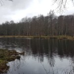 Tollerup premiär