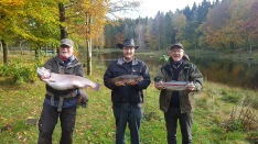 KM i Flugfiske 2019-10-19