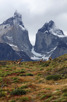 Torres del Paine, Patagonia