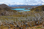 Torres del Paine, Patagonia