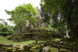 Jungle temple at Angkor Thom