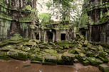 Jungle temple of Ta Prohm, Siem Reap