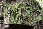 Temple details in Ta Prohm, Siem Reap