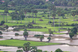Vast expanse of water channels, Baray
