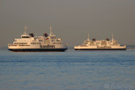 Scandlines ferries between Helsingborg and Elsinore