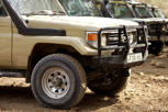 Safari jeeps