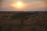 Sunrise over Serengeti National Park