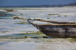 Dhow during low tide, Zanzibar