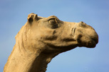 Camel Monument, Dubai