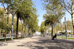 Avenida Diagonal, Barcelona