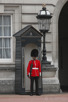 Guard at Buckingham Palace, London