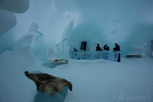 The Ice Bar at the Ice Hotel, Jukkasjärvi