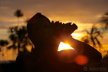 Sunset horn of native Tahitian, Papeete