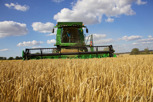A combine harvester threshing a field of grain, Helsingborg